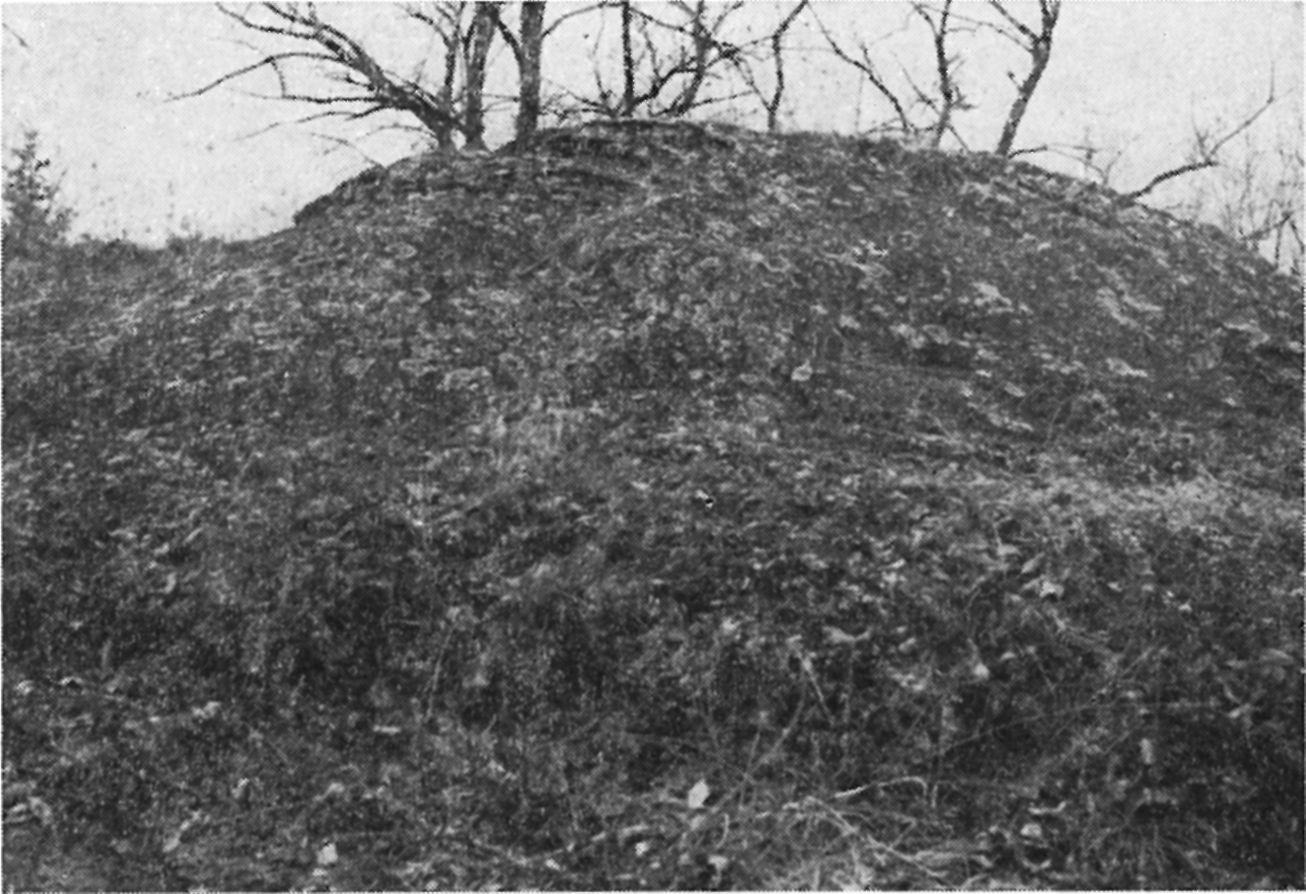 Scheuer Schweitzer: Édesvízi mészkőkúpok 393 6. ábra. Langyqs (28 C) nátrium-kalcium-hidrogénkarbonátos, erősen szénsavas, magas oldott sótartalmú forrásvízből képződött 7 m magas, kb.