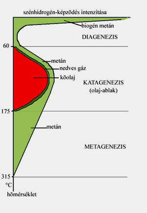 A szerves anyag átalakulása a növekvő betemetődéssel a következő szakaszokban történik: 1. Diagenezis: A diagenezis 60 C-ig tart és ez kb. 1-2-km mélységet jelent. A szerves anyag kerogénné alakul.