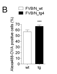 hordozóhoz konjugálva sikerült magas titerű antigén specifikus IgG és IgM titert mérni (12. ábra) (Vegh et. al. 2011). 12.