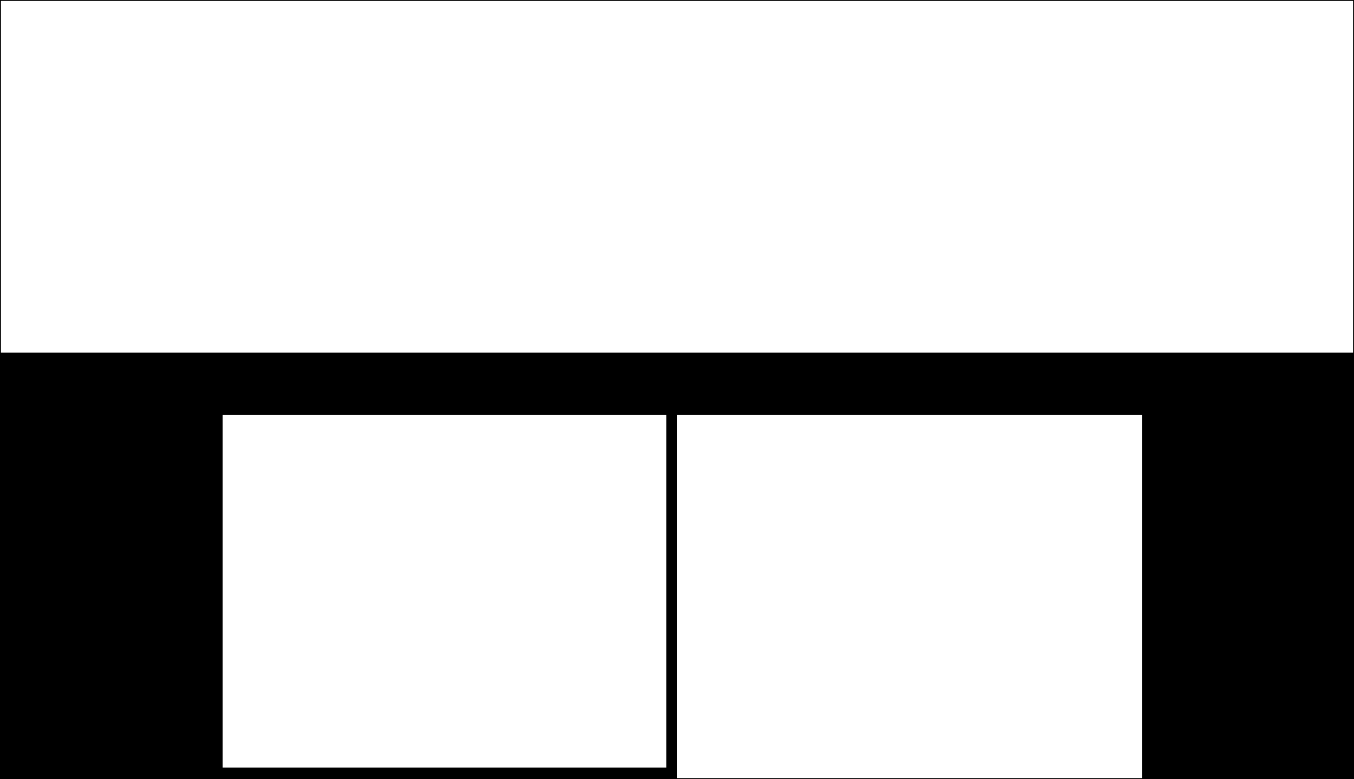kultúrában. Átlagosan az alábbi eloszlást tapasztaltuk: 96-99%- CD11b+, 50-80% CD11c +, 80-95% MHCII +, 5-6% CD14+, 5-10% Gr1+.