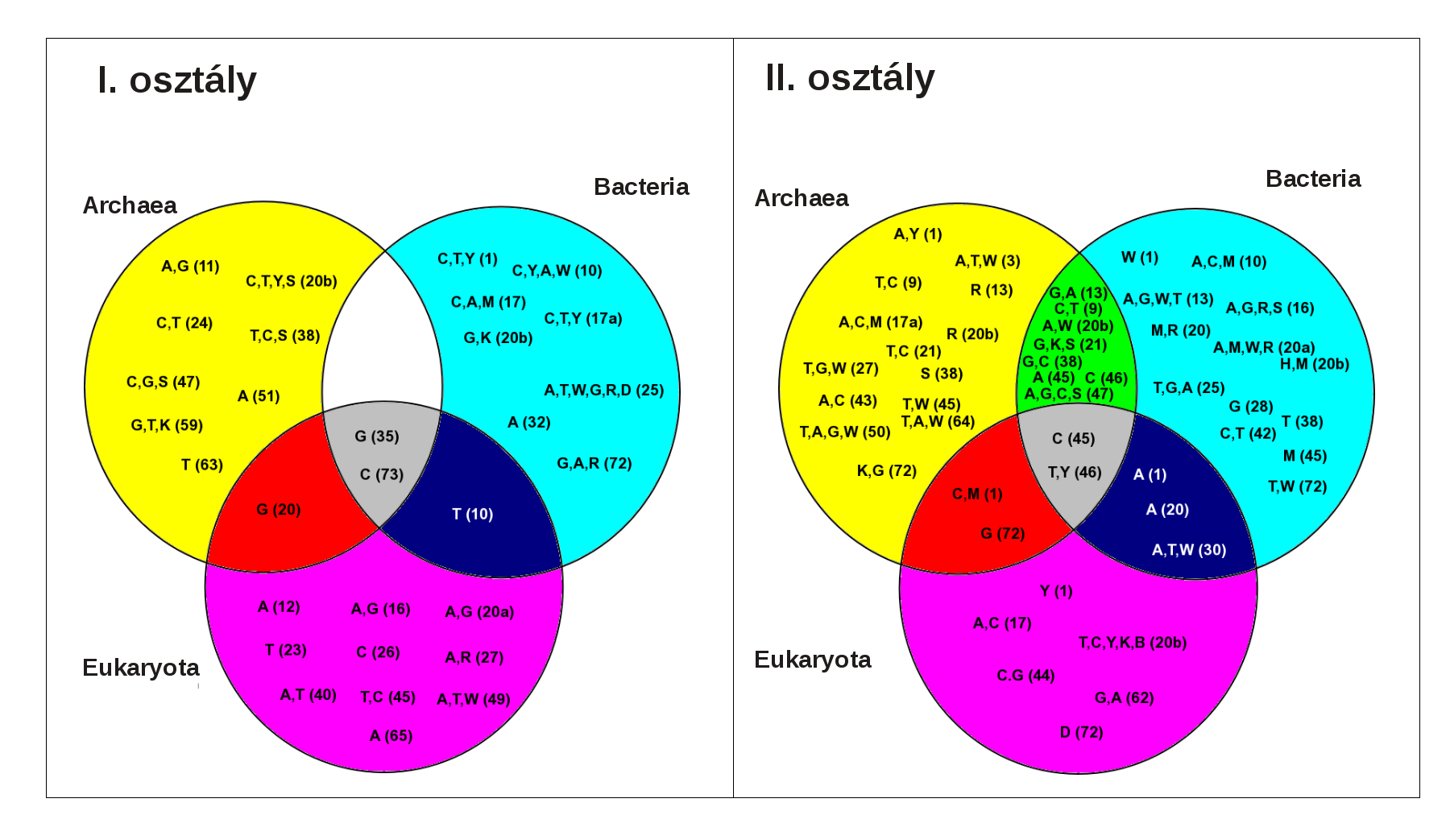 5.4. ábra. Az ECP analízis diszkrimináló elemei az élővilág három nagy doménje szerint bontva Az I. és a II.