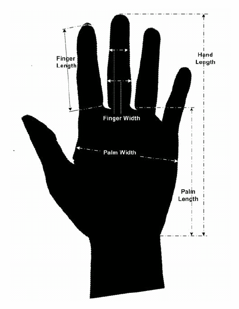 56. ábra: Egy 30 sajátossági értékből álló rendszer [PALM-BULAT] A rendszer a következő geometriai sajátosságokat veszi figyelembe: az ujjak hossza (1-5), az ujjak szélessége az ujj tövénél mérve