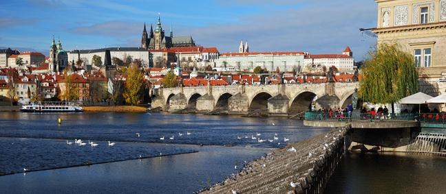 Új Pszichoaktív Szerek a Cseh Köztársaságban Aleš Herzog SANANIM