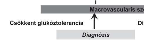 1. ábra A 2-es típusú diabetes jellemzői 1.