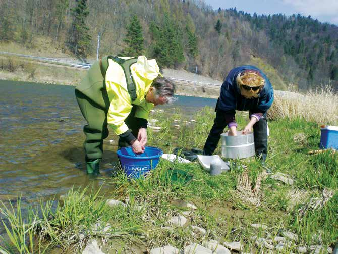 II.8 Ďalšie informácie o činnosti, podnikateľských a ďalších aktivitách podniku Obstaranie vlastných akcií, dočasných listov, obchodných podielov a akcií V roku 2015 SVP, š. p. neobstaral dočasné listy, obchodné podiely a nevydal ani vlastné akcie.