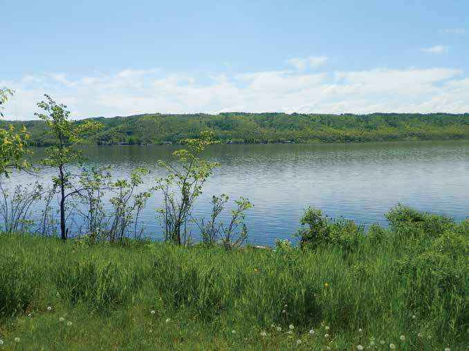 III.3 Výber poplatkov za odbery podzemnej vody a vypúšťanie odpadových vôd do povrchových vôd Podľa zákona č. 364/2004 Z. z. o vodách a o zmene zákona SNR č. 372/1990 Zb.
