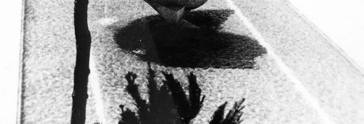Andrei Orgonaş, Cresc cadre noi, piatră, foto IIA Exp. colective: 1947, debutează în cadrul exp. bănăţene din Timişoara; din 1948 participă la exp.