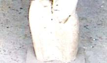 TURCU Iuliana, 26.05.1945, Oradea. Studii: în 1970 absolvă IAP Bucureşti. Sculptorul Gheorghe Turcu soţ. Din 1980 a lucrat ca muzeograf la Muz. de Artă Vizuală, Galaţi.