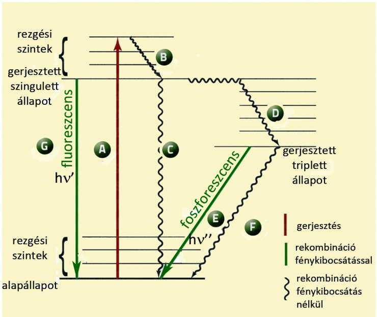 Fehér OLED Zöld: Alq 3, tris(8-quinolato)al Narancs: pl. BePP 2 :rubrene Kék: pl.