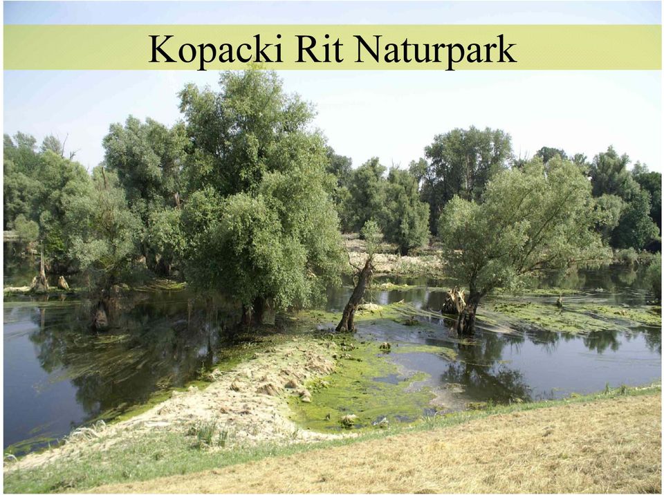 Naturpark