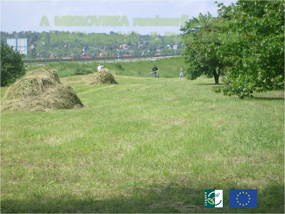 A MIKROVIRKA rendszerű 1 falu-1 MW integráció II.
