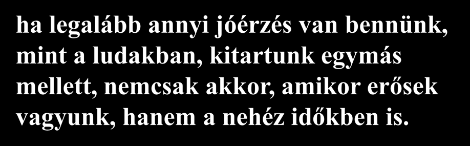 4. tény: Tanulság: ha legalább annyi jóérzés van bennünk, mint a ludakban, kitartunk egymás mellett, nemcsak akkor, amikor erősek vagyunk, hanem a nehéz időkben is.