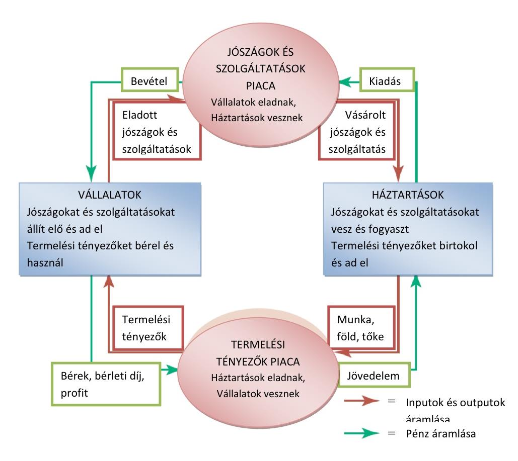 1 A gazdaság körfolyamata A modell nem feltétlen jelent egyenleteket, csak gondolkodási keretet ez esetben egy