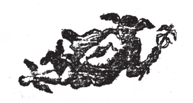6. kép SZÉP DALLOS DINNOM-DÁNNOMOK (1792) az OSZK példányának záró ábrája 7.