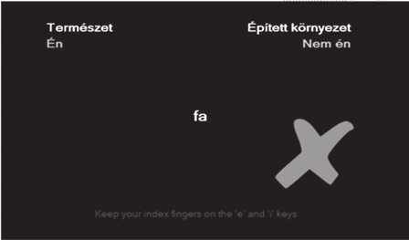 ákat állítottuk szembe az Épített környezet és a Nem Én kategóriákkal, negyedik párosítás: 10 feladat a Természet vagy Épített környezet értékelő attribútumhoz tartozó példaszavak párosítására, mint