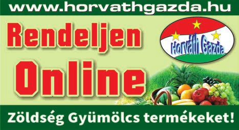 390 /DB17. 2017. február FT 12 TÉL VÉGI FARSANGI AKCIÓ! Győr, Gerece u. 27. 97020144 103.920 Ft 80 öltésmita automata elvarrás tűpozícióállítás tűbefűző FELNŐTT ÉS GYEREK JELMEZEK, KIEGÉSZÍTŐK 139.