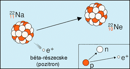 Béta-sugárzás Negatív béta-bomlás egy neutron protonná alakul a magban egy elektron kilép a magból a rendszám eggyel nő, a tömegszám