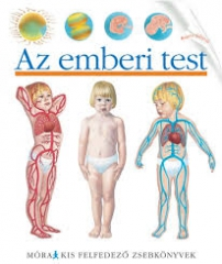 TestLine - RSMUS-Környezet kimeneti mérés Mit készítenek a learatott nádból? 12.