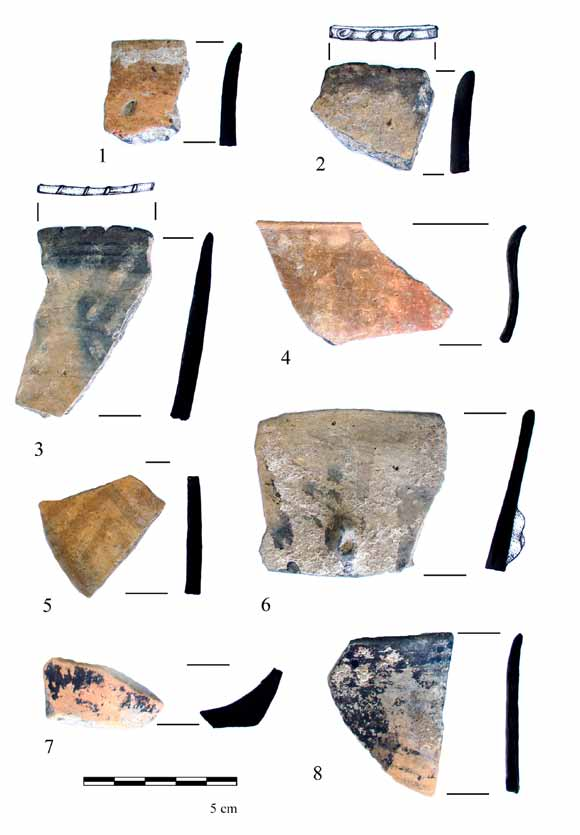 Késő neolitikus település Tiszatardosról (Borsod-Abaúj-Zemplén megye) 97 2. kép. 1 8. Fekete festett edények töredékei a neolit gödör anyagából.
