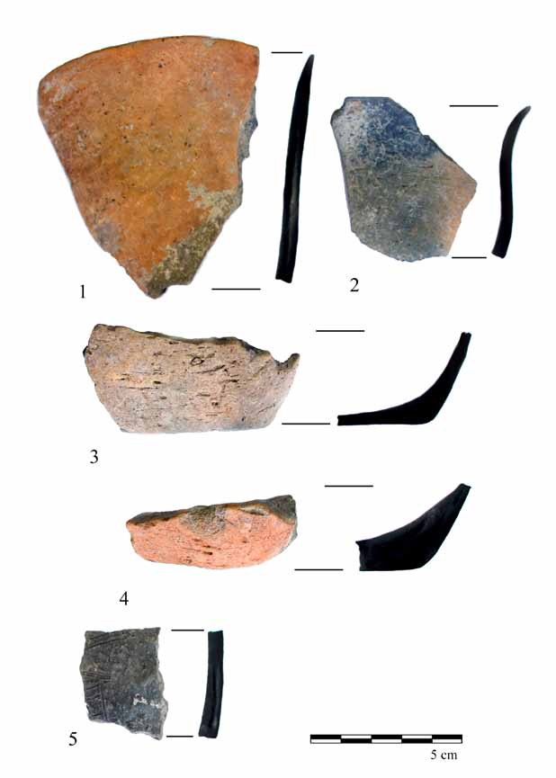 Késő neolitikus település Tiszatardosról (Borsod-Abaúj-Zemplén megye) 99 4. kép. 1 5. Edénytöredékek a neolit gödör anyagából.