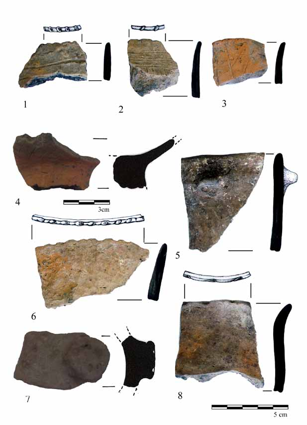 102 L. Hajdú Melinda 7. kép. 1 8. Edénytöredékek a neolit gödör anyagából. 1 4: karcolt díszítésű edény; 5, 7 8: fazék; 6: tál. (Fotó: L. Hajdú Melinda, rajz: Nagy S. József.) Fig. 7. 1 8. Pottery fragments from the pit labelled Neolithic.