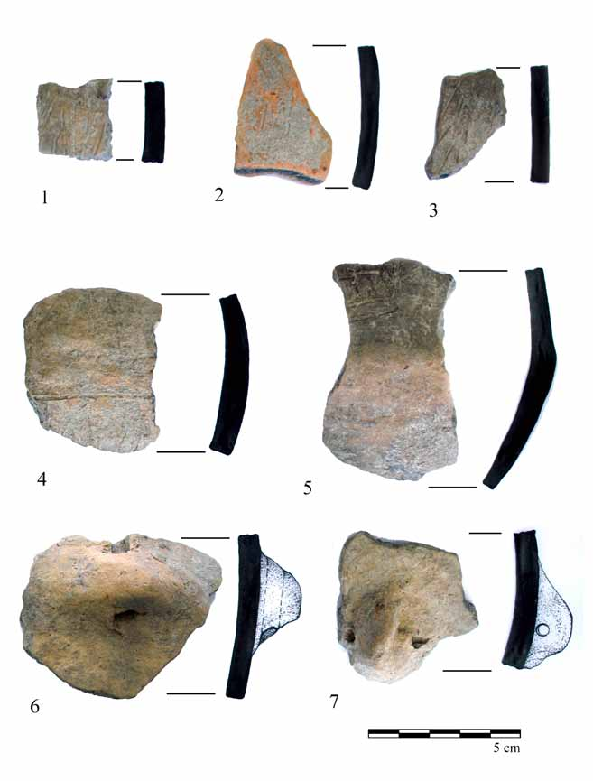 Késő neolitikus település Tiszatardosról (Borsod-Abaúj-Zemplén megye) 103 8. kép. 1 7. Edénytöredékek a neolit gödör anyagából. 1 5: karcolt díszítésű edény; 6 7: fazék alakú edény (Fotó: L.