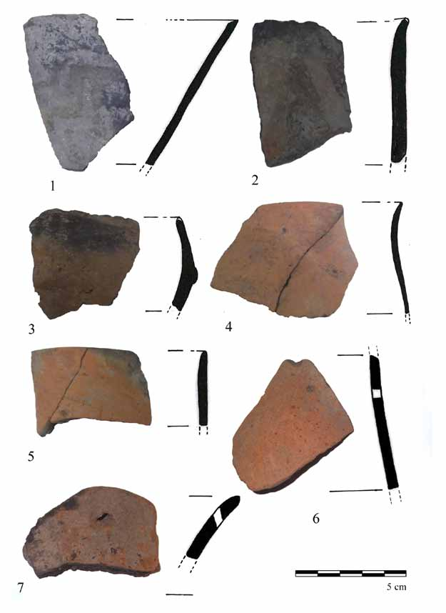 Késő neolitikus település Tiszatardosról (Borsod-Abaúj-Zemplén megye) 109 14. kép. 1 7. Festett és díszítetlen edénytöredékek a neolit gödör anyagából.