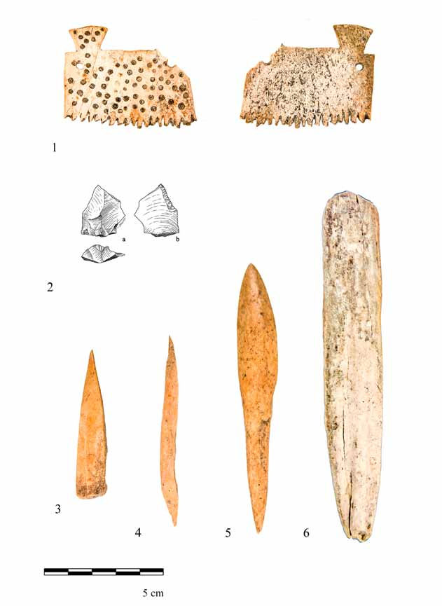 Késő neolitikus település Tiszatardosról (Borsod-Abaúj-Zemplén megye) 111 16. kép. 1 6. Kisleletek a neolit gödör anyagából. 1: díszített csontfésű; 2: pattintott kőeszköz; 3 6: csonteszközök.