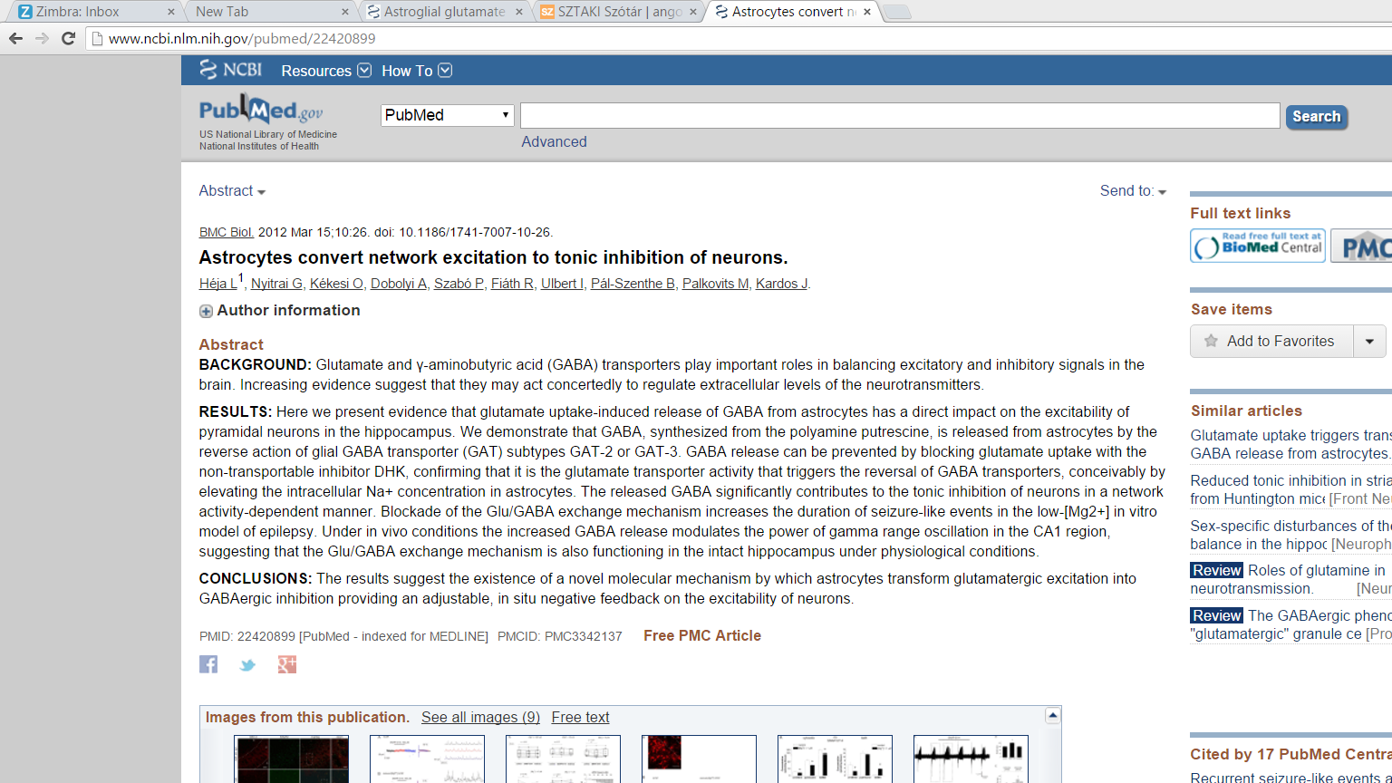 glutamate uptake-induced release of GABA from astrocytes has a direct impact on the excitability of pyramidal neurons in the hippocampus GABA transzporter megfordulásával GABA ürül asztrocitákból