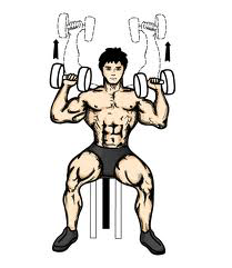Bicepsz (karhajlító): Karhajlítás állva kézi súllyal váltott karral (Heavy Weight súlyzókészlet) A súlyokat a comb mellett mélytartásban tartjuk.