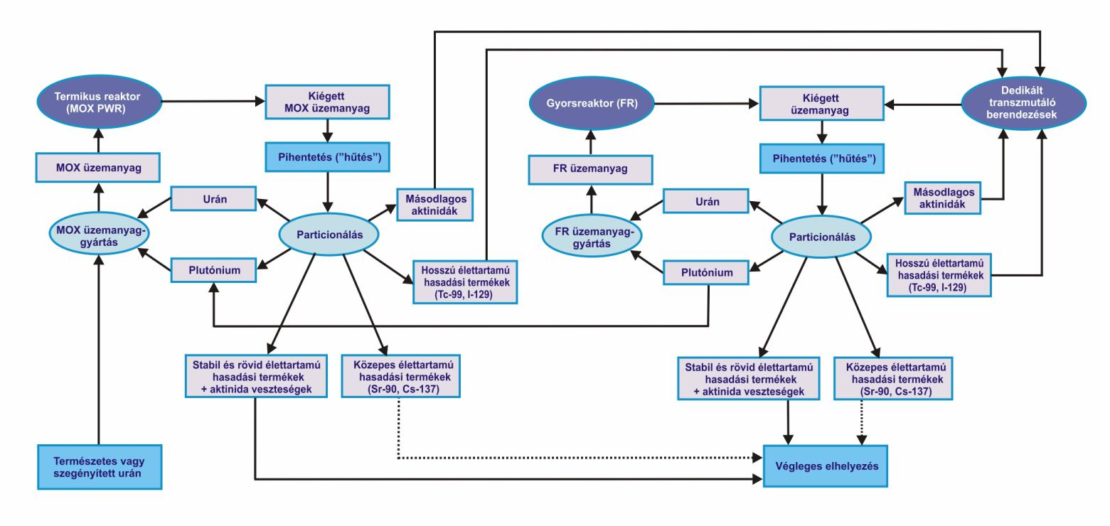 transzmutálandó termékeket, amelyekhez szükséges technológia jelentősen különbözik egymástól: - hasadási termékek (FP) transzmutációja - másodlagos aktinidák (MA) transzmutációja 1.