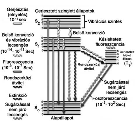 Polisztirol láncmolekulák rendeződése a fröccsöntő szerszámban Két megtört fénysugár polarizációja egymásra merőleges A polarizáció síkja megegyezik a főtengelyek irányával.