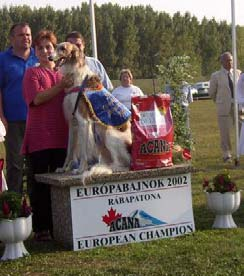 KLUB CHOVATEĽOV CHRTOV 55 z 60 5.10.2003 Lostallo, CH CACIL 5.10.2003 Kolín, CZ 12.10.2003 Sachsenheim, D CACIL 12.10.2003 Oraison, F CACIL 12.10.2003 Rifferswil, CH CACIL 19.10.2003 Mont de Marsan, F CACIL 19.