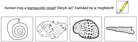 A Magyar Természettudományi Múzeum kiállításának felfedezése.