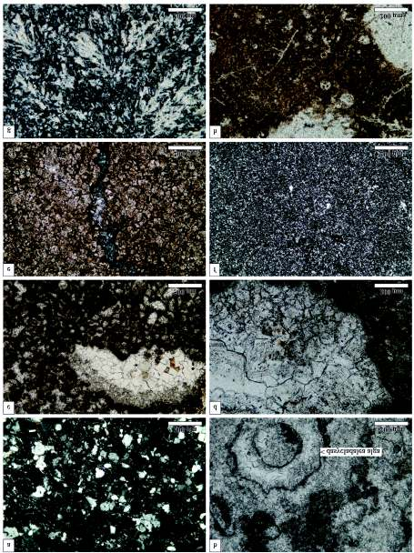 344 FARICS Éva et al.: A Budai-hegység felső-eocén összletének bázisán települő törmelékes üledékes kőzetek petrográfiai jellegei 12. ábra.