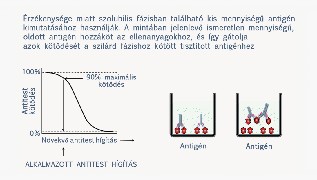 Ebben az esetben a kalibrációs görbe megrajzolásához ismert koncentrációjú antigénhígításokból álló sor adja az ismeretlennel azonos lemezen az alapot (2.6. ábra). 2.6. ábra: ELISA standard sor 2.2.2.3.