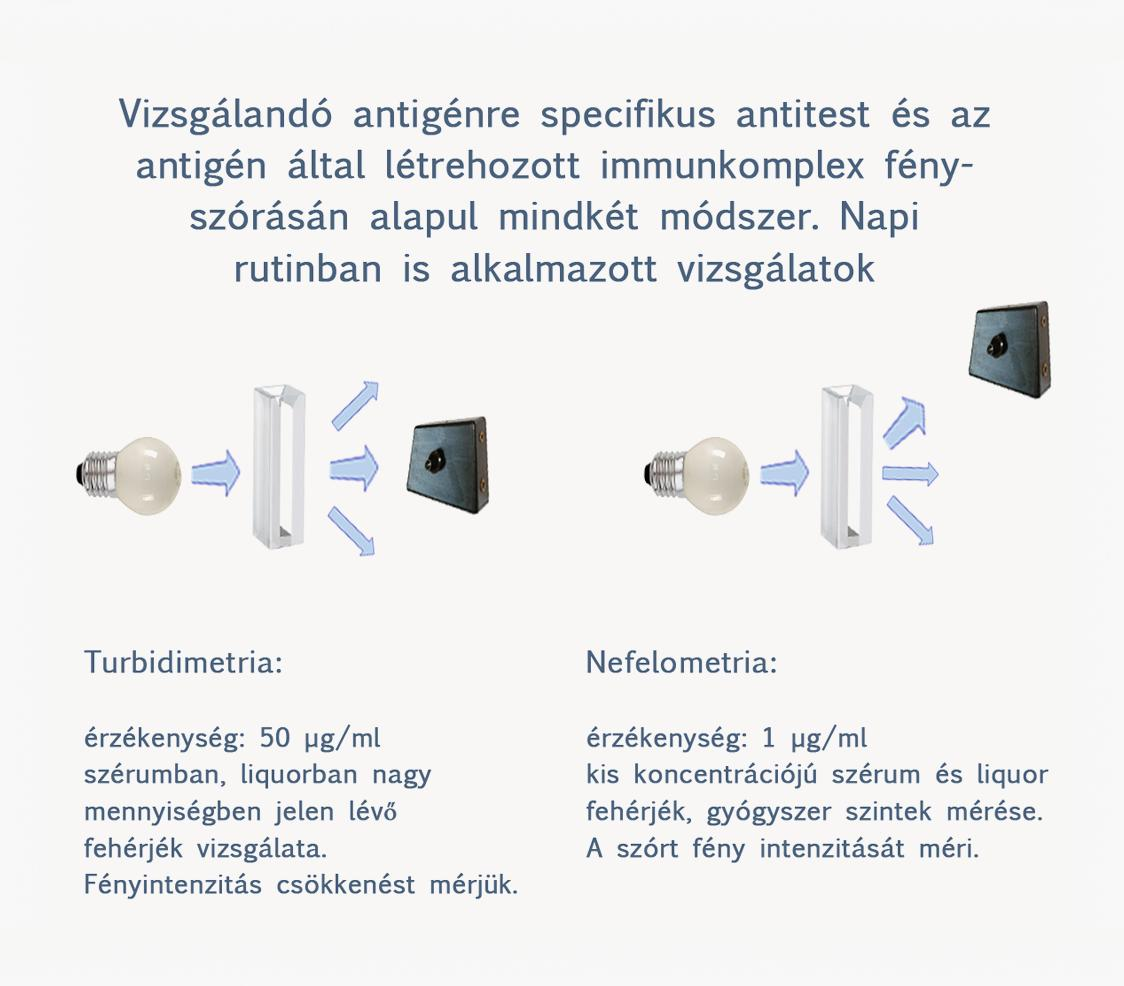 szérumfehérje és a módszer során alkalmazott (monoklonális, vagy poliklonális) antitest antigén ellenenyag komplexet hoz létre, ennek fényáteresztő képességén alapuló módszer a turbidimetria.