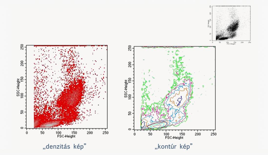 5.2.1.2. Felhőkép (dot plot) A felhőképeken ugyanarról a sejtről származó 2 detektált paraméter egymás függvényében kerül ábrázolásra. A kép minden sejtet különálló pontként jelenít meg.