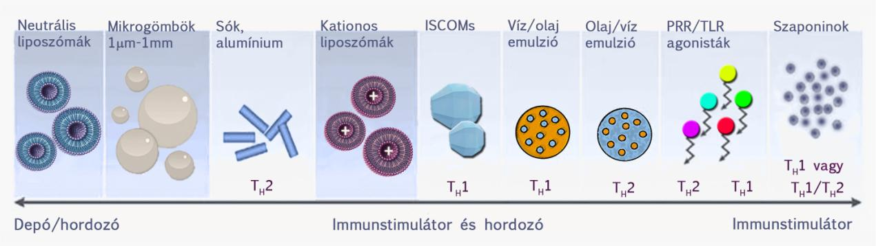 Ilyen immunizálással indukált betegségmodellek pl.