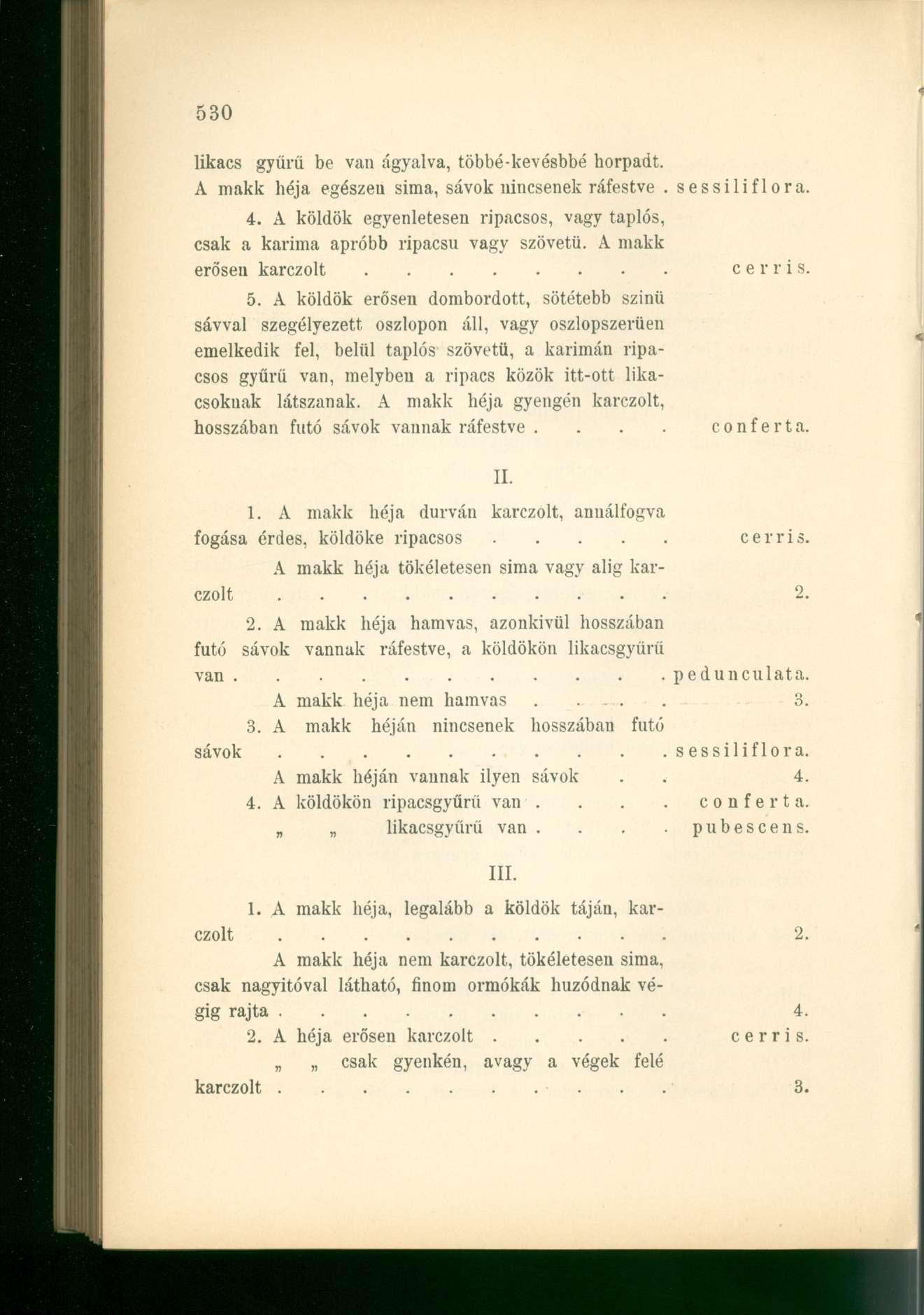 likacs gyűrű be van ágyalva, többé-kevésbbé horpadt. A makk héja egészen sima, sávok nincsenek ráfestve. sessiliflora. 4.