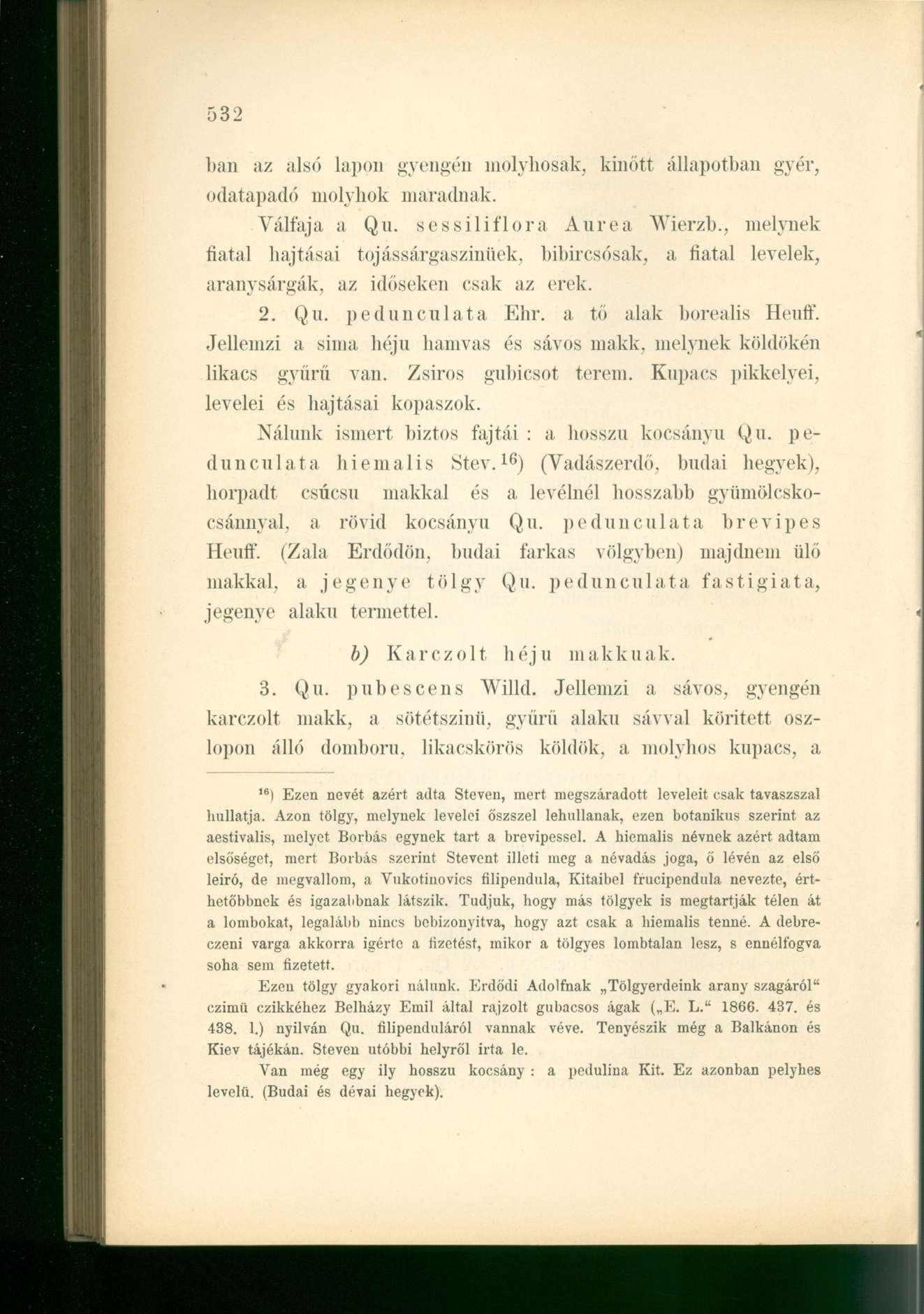 ban az alsó lapon gyengén molyhosak, kinőtt állapotban gyér, odatapadó molyhok maradnak. Válfaja a Qu. sessiliflora Aurea Wierzb.