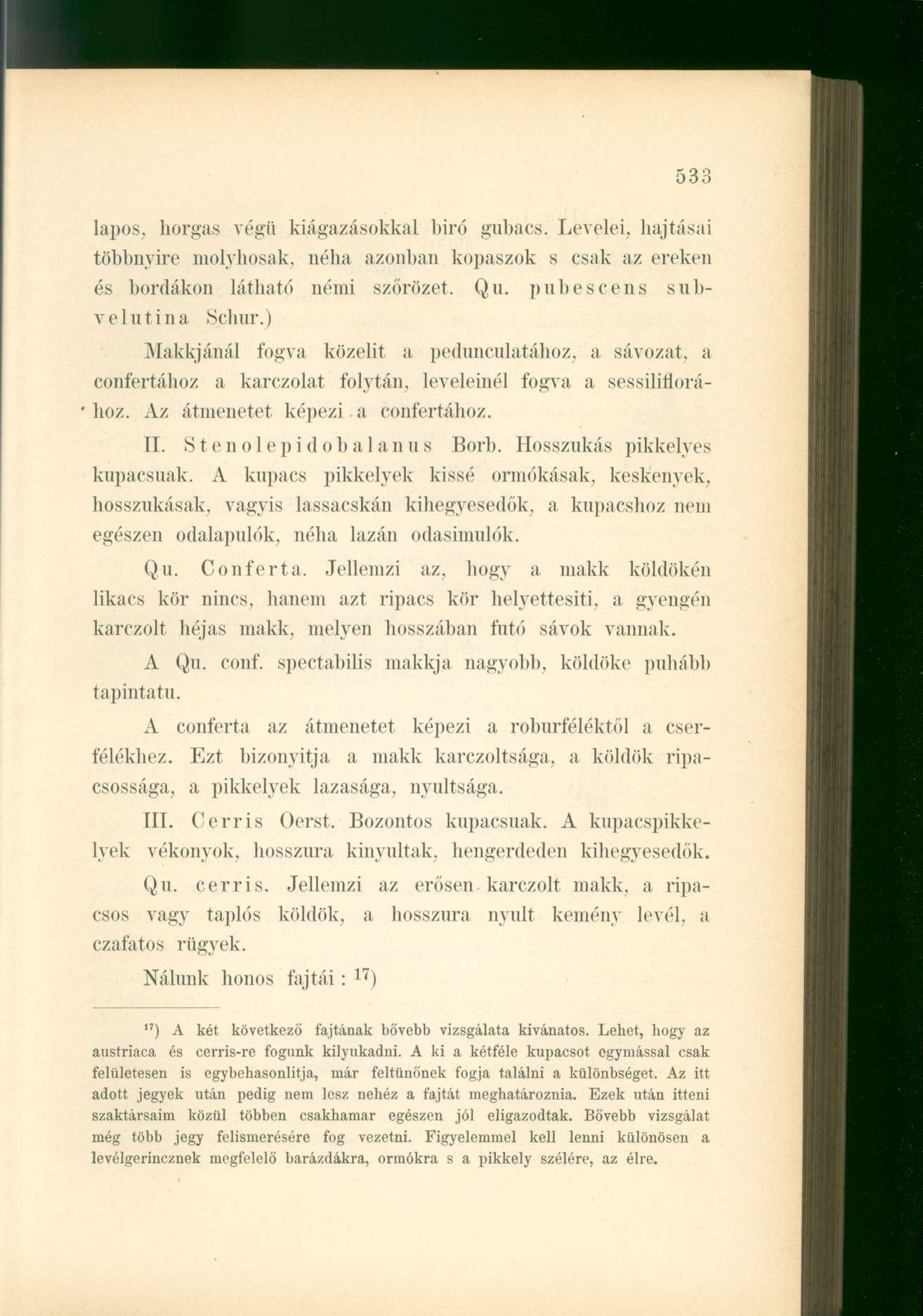 lapos, horgas végű kiágazásokkal bíró gubacs. Levelei, hajtásai többnyire molyhosak, néha azonban kopaszok s csak az ereken és bordákon látható némi szőrözet, Qu. pubescens subvelutina Schur.