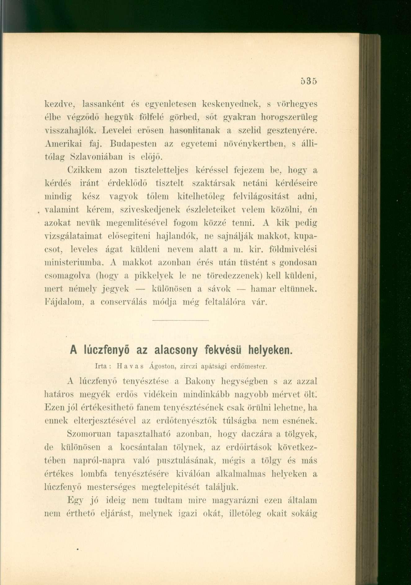 kezdve, lassanként és egyenletesen keskenyednek, s vörhegyes élbe végződő begyük fölfelé görbed, sőt gyakran horogszerüleg visszabajlók. Levelei erősen hasonlítanak a szelid gesztenyére. Amerikai faj.