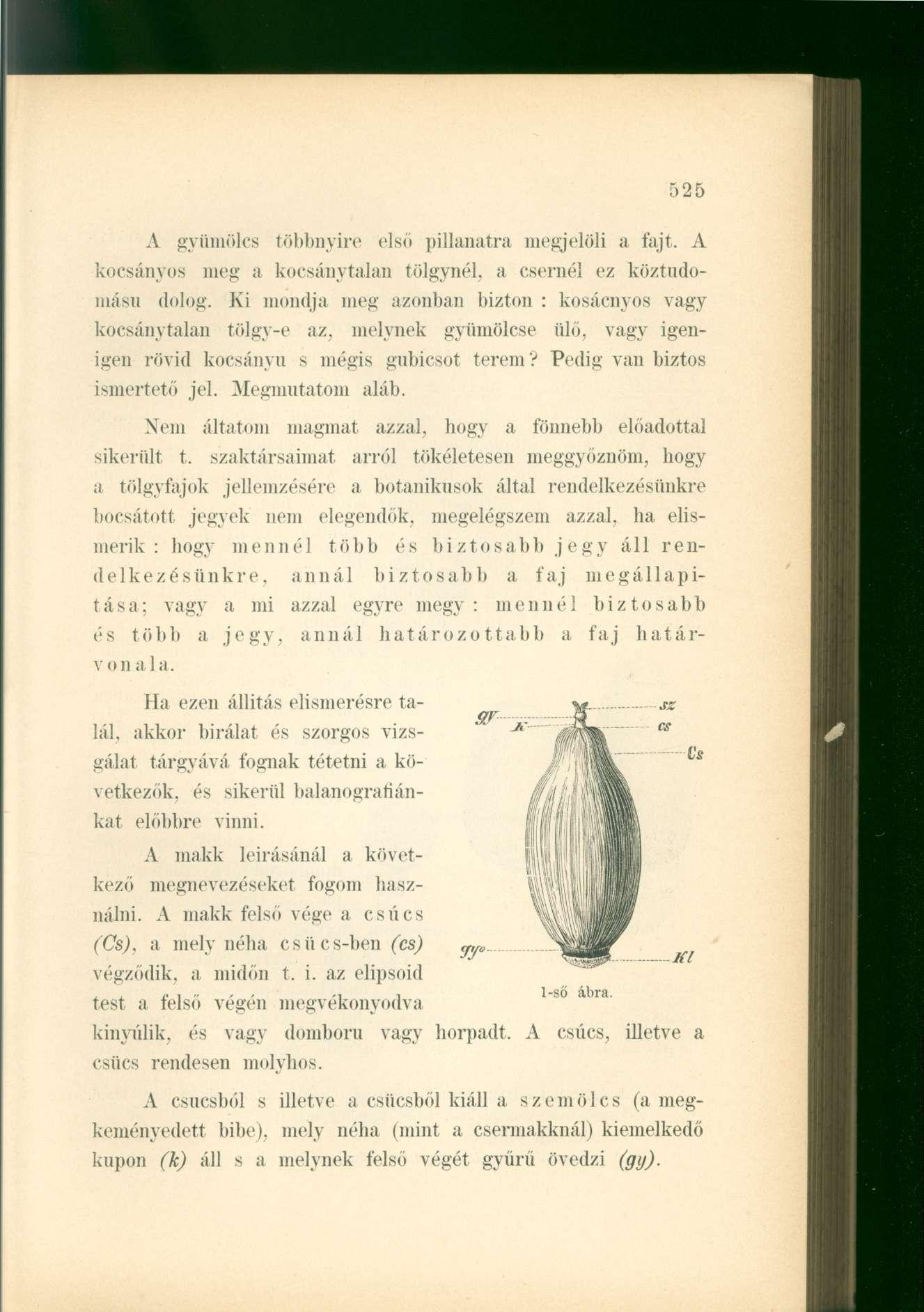 kocsányos meg a kocsánytalan tölgynél, a csernél ez köztudomású A gyümölcs többnyire első pillanatra megjelöli a fajt. A dolog. Ki mondja meg azonban bizton : kosácnyos vagy kocsánytalan tölgy-e az.