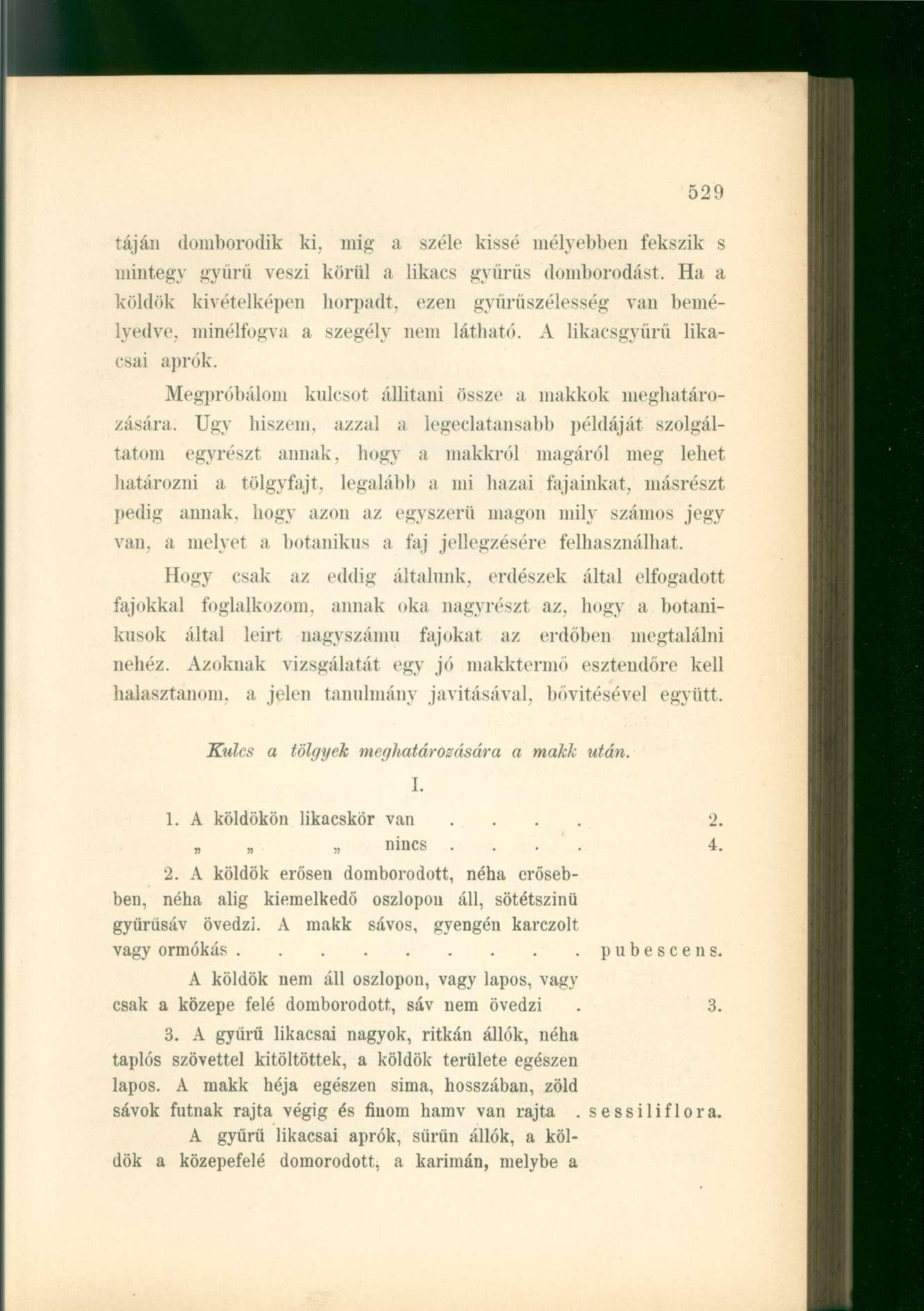 táján domborodik ki. mig a széle kissé mélyebben fekszik s mintegy gyűrű veszi körül a likacs gyűrűs domborodást.