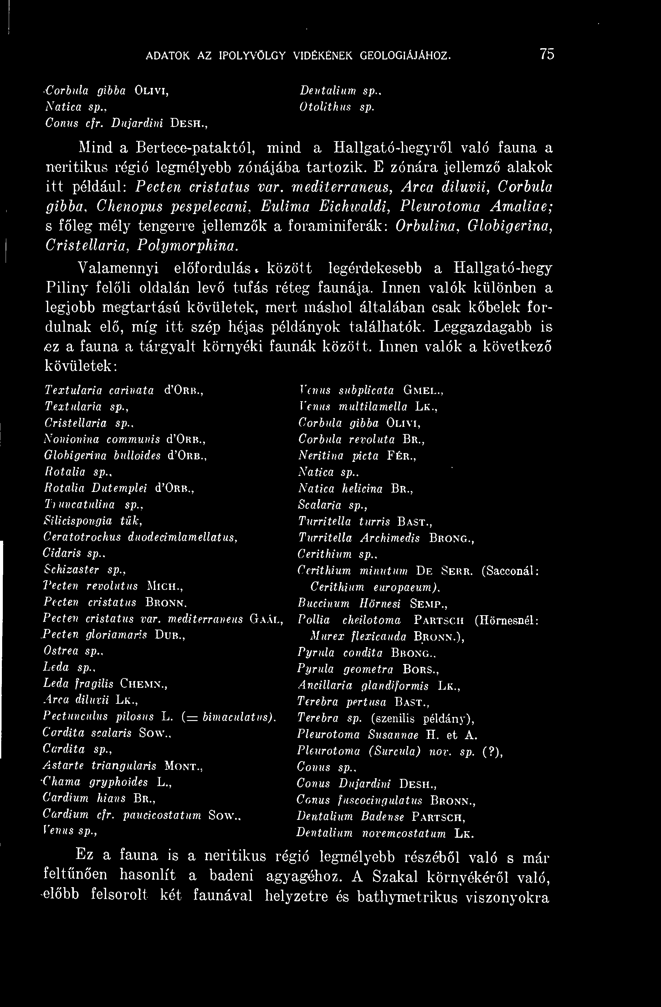 ADATOK AZ IPOLYVÖLGY VIDÉKÉNEK GEOLÓGIÁJÁHOZ. 75 Corbula gibba Olivi, Dentalium sp.. Natica Otolithm sp. Conus cfr. Dujardini Desh.