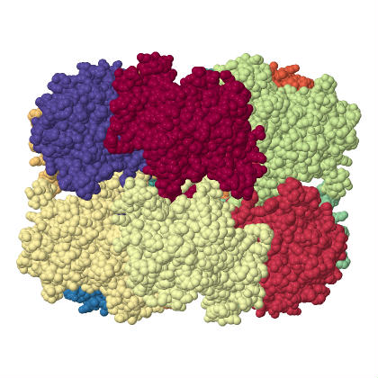 Irodalmi áttekintés a) b) 4. ábra: A prokarióta glutamin szintetáz holoenzim három dimenziós ábrázolása a Jmol webes alkalmazással. Az egyes alegységek külön színnel vannak megjelölve.