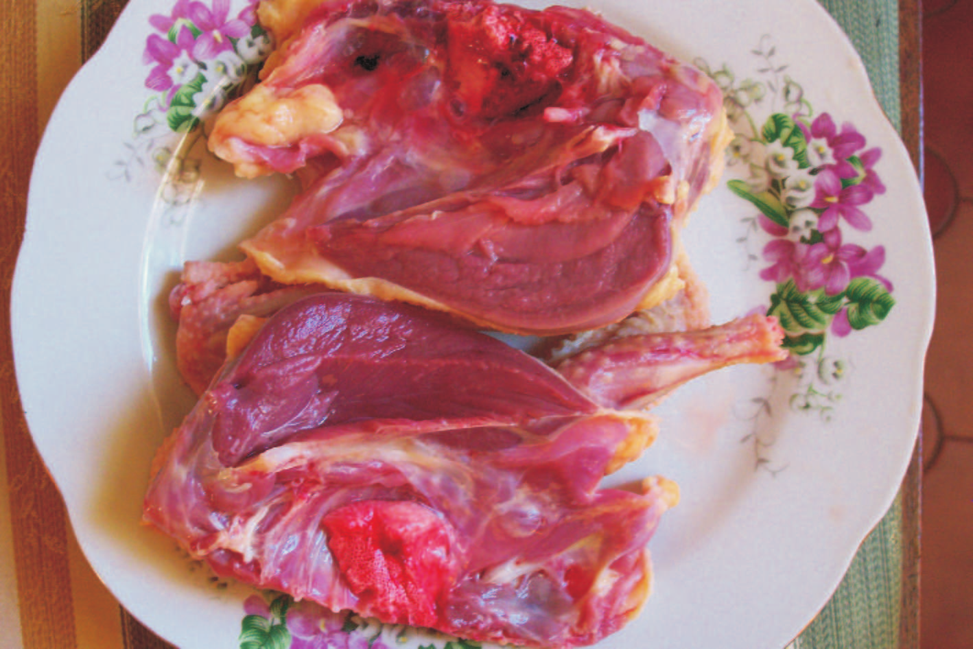 Húsuk vörösebb, mint a húsgalamboké és összetétele is más. Ezt igazolja az alábbi fénykép és a Budapesti Corvinus Egyetem Élelmiszertudományi Kar vizsgálati eredménye, ld. a 3. számú melléklet.