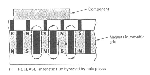 Rugalmas (flexibilis)