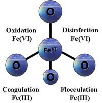Ferrát (FeO 4 2- ) A ferrát a jelenleg ismert leghatékonyabb, mégis környezetbarát oxidáló-, és egyben fertőtlenítőszer ható komponense a Fe(VI).
